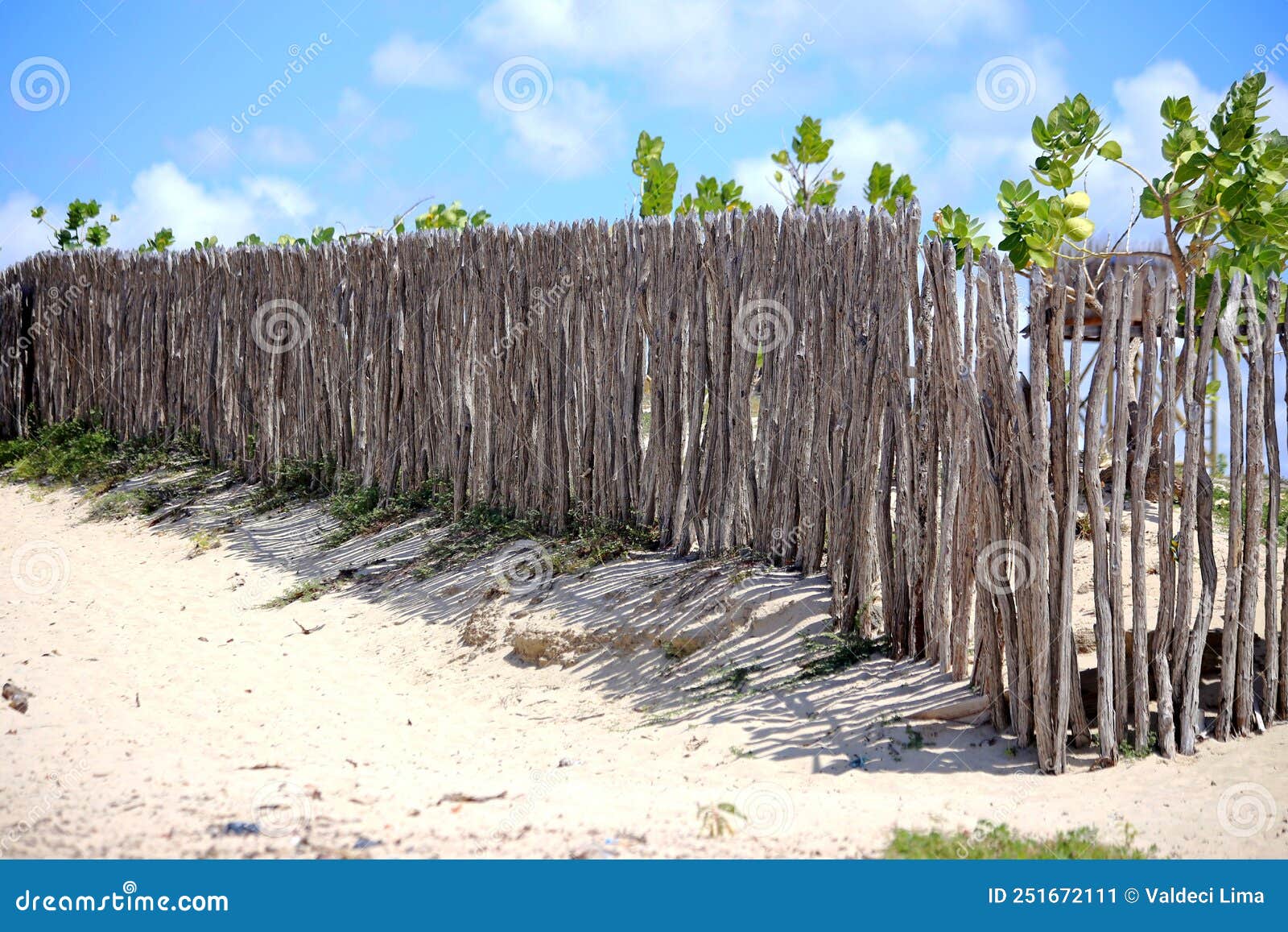 fence made of tree branches, delimiting small properties, typical of the coast of northeastern brazil.